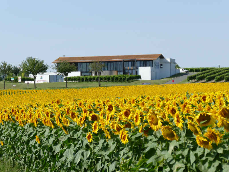 Maison de la Vigne et des Saveurs