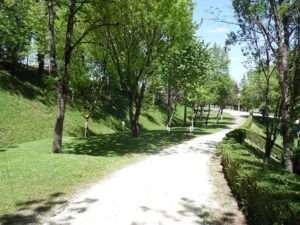 Emplacements ombragés - camping Margot