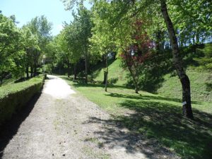 Emplacements ombragés - camping Margot