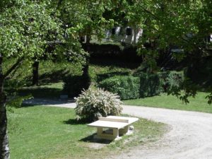 Emplacements ombragés - camping Margot